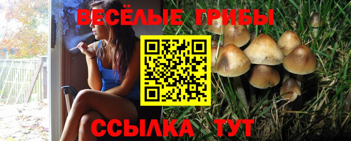 Псилоцибиновые грибы ЛСД Гудермес